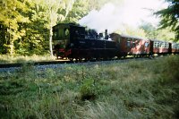 Zug bei Sternhaus Ramberg - 10,5/80,8 KB