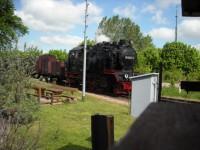 Der von Lok 99 6001 gezogene Zug aus Quedlinburg mit den Museumsbesuchern fährt in den Bahnhof Gernrode ein.