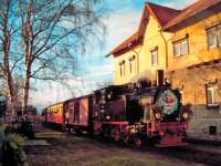 Der geschmckte Nikolauszug wartet auf die Erlaubnis, um an den Bahnsteig des Bf Gernrode zu fahren.