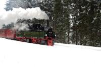 Lok 99 5902 im Planeinsatz mit Zug 8903/8904 bei der Ausfahrt aus dem Bf Drei Annen Hohne am 21.02. 2010