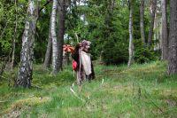 Unterharzer Wanderbär unterwegs im Märchenwald