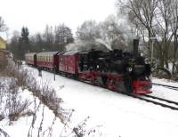 Sonderzug mit Lok¾995906 während der Mittagspause im Bahnhof Straßberg