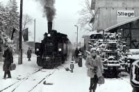 Sonderzug mit Lok 99 5903 im Bahnhof Stiege