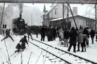 Der Sonderzug Stiege – Straßberg wurde von zahlreichem Publikum im Haltepunkt Güntersberge empfangen, wo die Ehrengäste ausstiegen. (2)