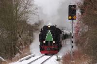 Nikolauszug im Langen Tal zwischen Alexisbad und dem Zielbahnhof Harzgerode