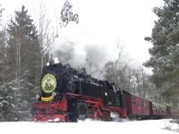 Ostersonderzug am Waldhof Silberhütte