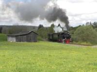 Scheinanfahrt zwischen Bf Stiege und Hp Albrechtshaus (km 34,4) (1)