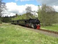 Scheinanfahrt zwischen Hp Güntersberge und Bf Straßberg bei km 24,6 (ehemalige Holzladestelle Selkewiesen) (3)