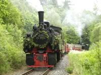 Sonderzug der IG HSB mit Lok 99 5902 und Sonderzug des FKS mit Lok 99 6001 bei Kilometer 18,5 (am Uhlenbach zwischen Silberhütte und Straßberg)