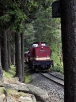 Sonderzug nach dem Zurücksetzen aus dem Bahnhof Schierke, damit Regelzug 8926 vom Brocken in den Bf einfahren kann (2)