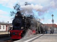 Ein aus Lok 99 6101 und so genannten „Traditionswagen“ gebildeter Sonderzug steht im Bf Wernigerode für eine Charterfahrt zum Brocken und zurück bereit.