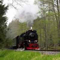 Sonderzug mit Lok 99 236 bei der Zug­lauf­stelle (Zlst) Allerbach (ehemalige Holzverladestelle) (3)