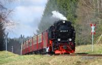 Sonderzug Wernigerode – Hasselfelde mit Lok 99 7234 zwischen Benneckenstein und Eisfelder Talmühle (18.04.2015)