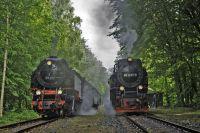 Zug 8951 mit Lok 99 7237 fährt im Bf Sternhaus Ramberg am FKS-Sonderzug mit Lok 99 222 vorbei.