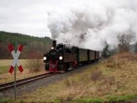 Durchfahrt des Sonderzuges am km 24,5 zwischen Straßberg und Güntersberge