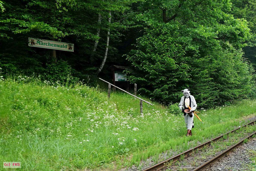 kein Vorschaubild