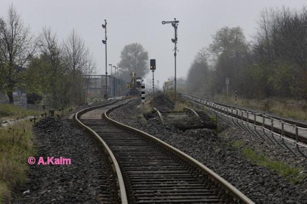 Einfahrsignale Bf&nbsp;Quedlinburg