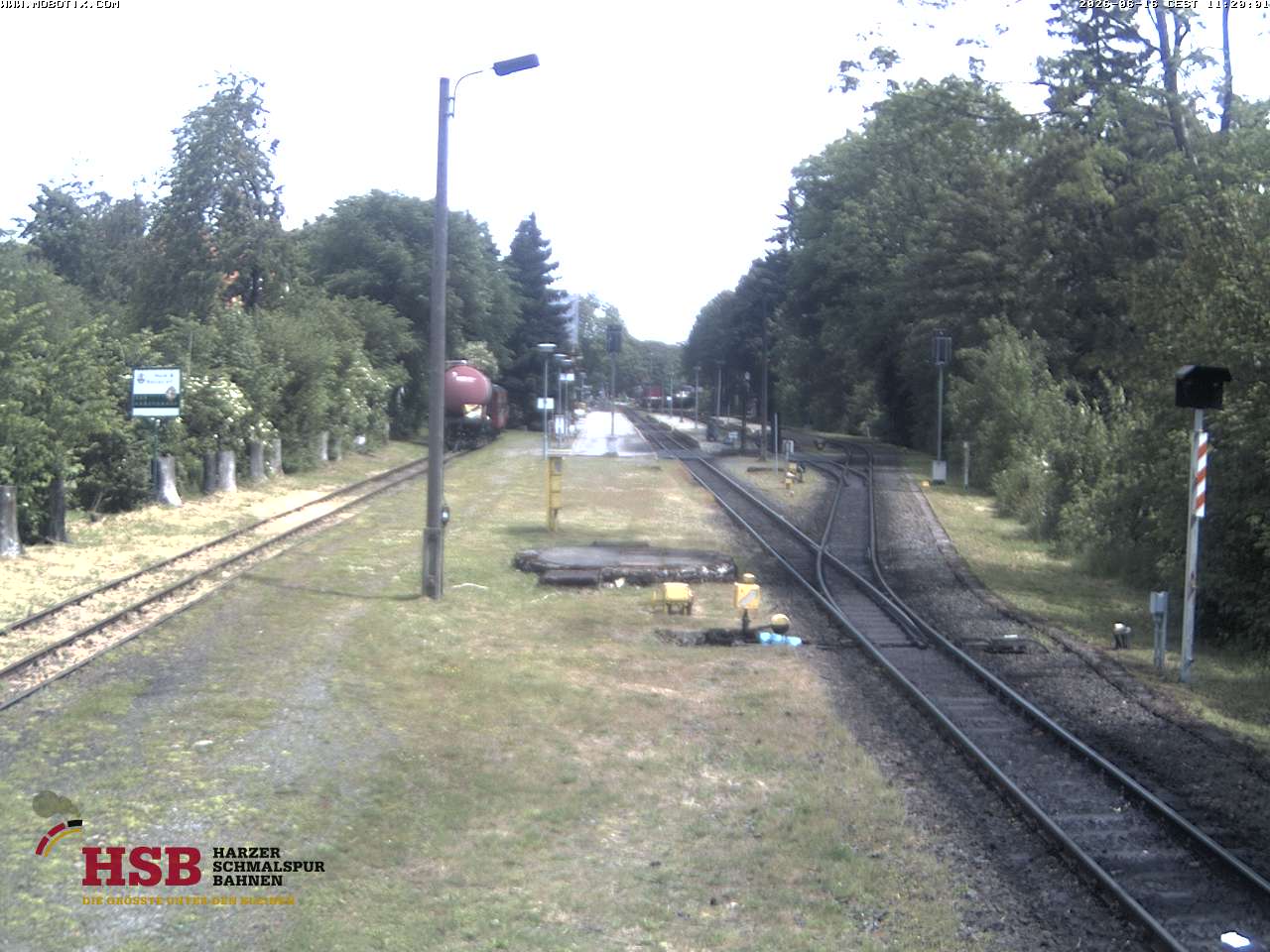 WebCam-Foto