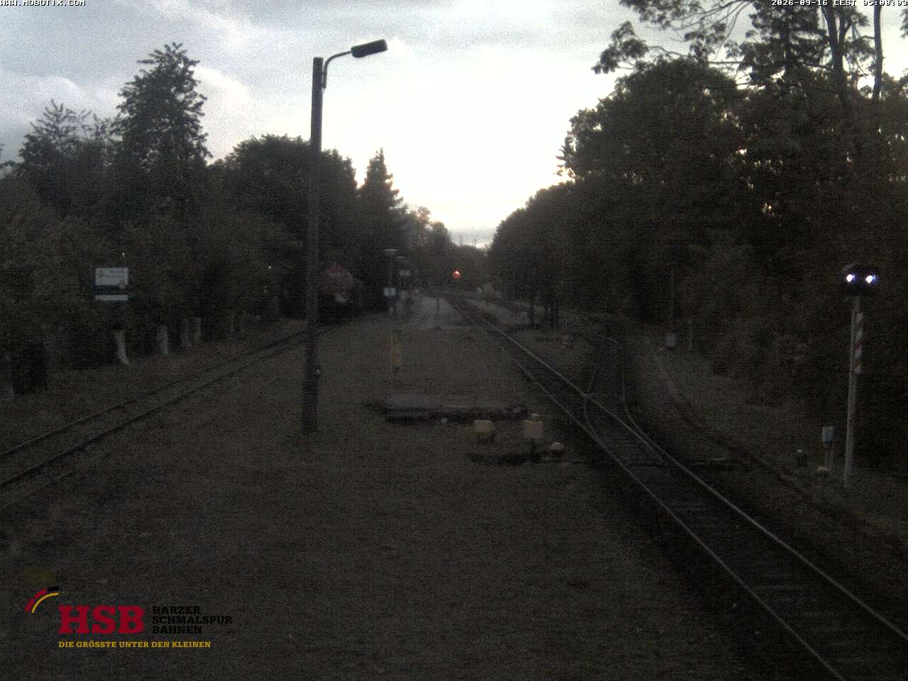 WebCam-Foto